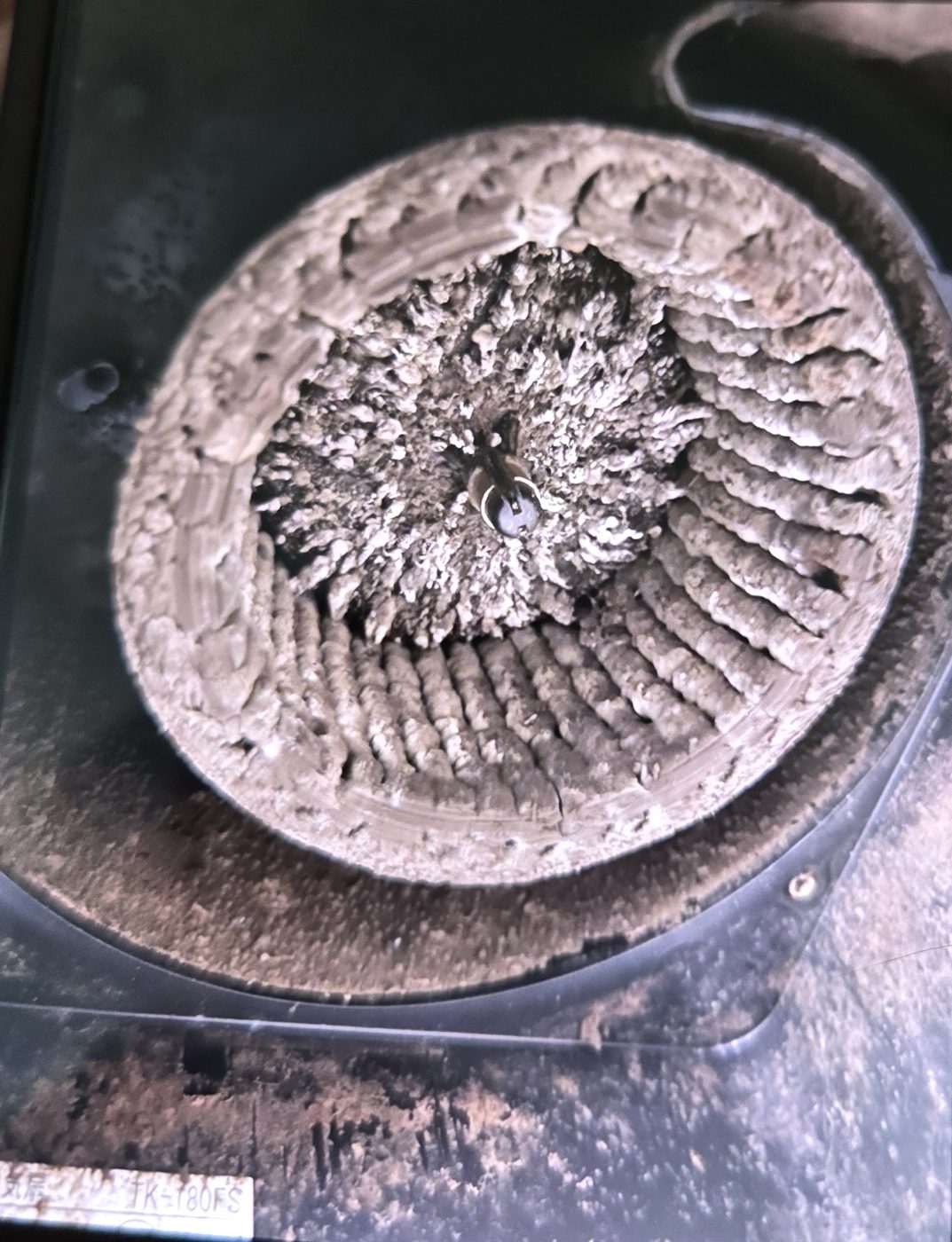 ダスキン作業前 換気扇のファン