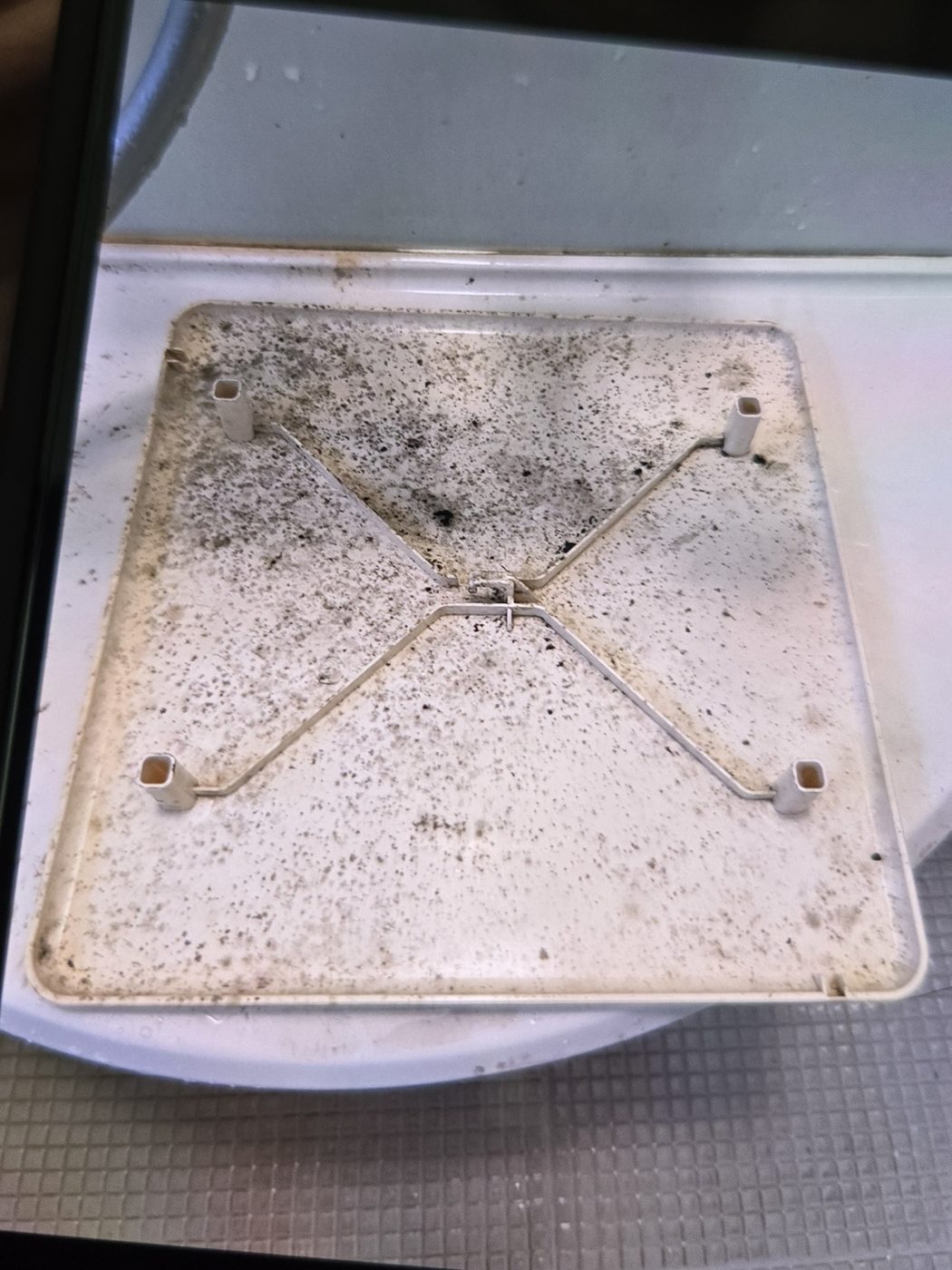 ダスキン作業前 換気扇のカバー（裏側）